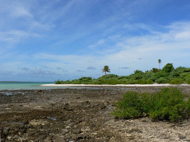 55- Paysage du motu Aveu 